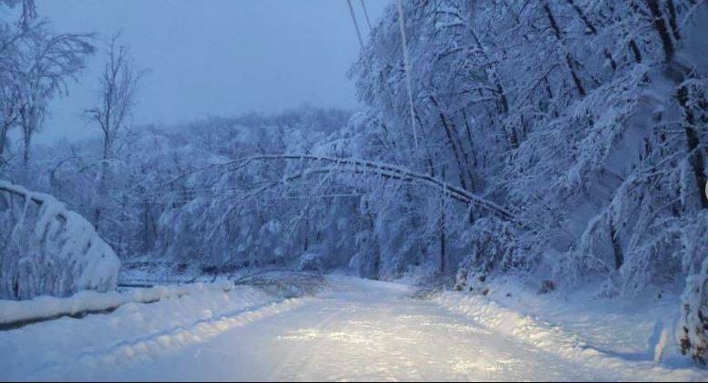 Χαλκιδική: Χωρίς ρεύμα χωριά του δήμου Αριστοτέλη- Χιονόπτωση, πτώσεις δέντρων και κλειστά σχολεία