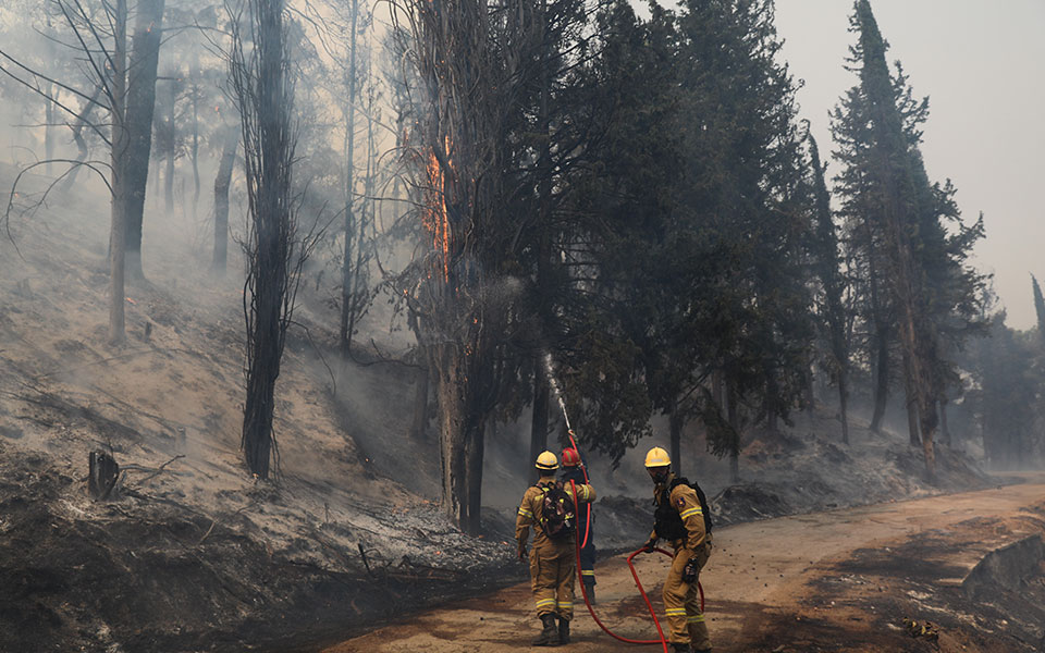 Στις φλόγες για όγδοη ημέρα το δάσος τη Δαδιάς – Περιμένουν ενίσχυση των ανέμων