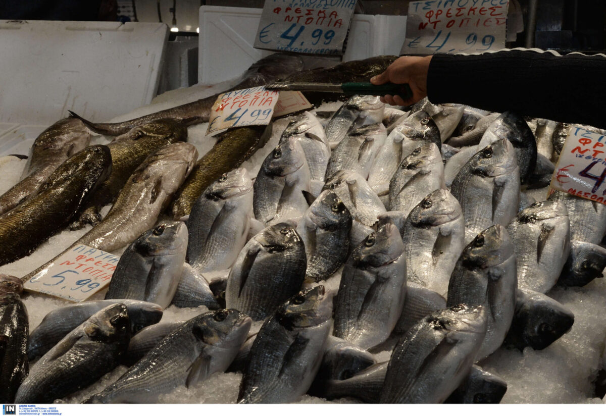 Τα πιο νόστιμα ψάρια αλιεύονται αυτή την περίοδο από τις ελληνικές θάλασσες (Podcast)