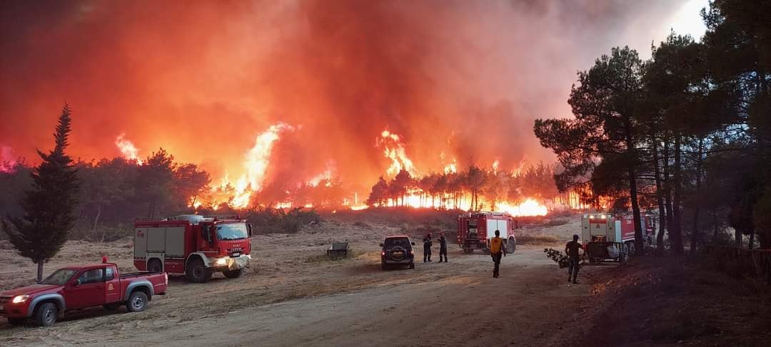 Μαίνεται η φωτιά στο Δάσος της Δαδιάς- Δάκρυσε ο υπουργός Πολιτικής Προστασίας (VIDEO)