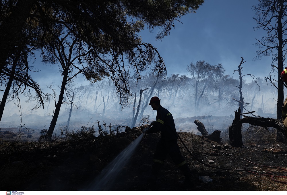 Υψηλός κίνδυνος εκδήλωσης φωτιάς σήμερα σε Θεσσαλονίκη και Χαλκιδική