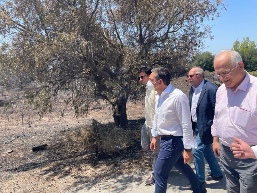 Α. Τσίπρας: Να σταματήσει ο κ. Μητσοτάκης να θριαμβολογεί πάνω στην καμένη γη (ΒΙΝΤΕΟ)