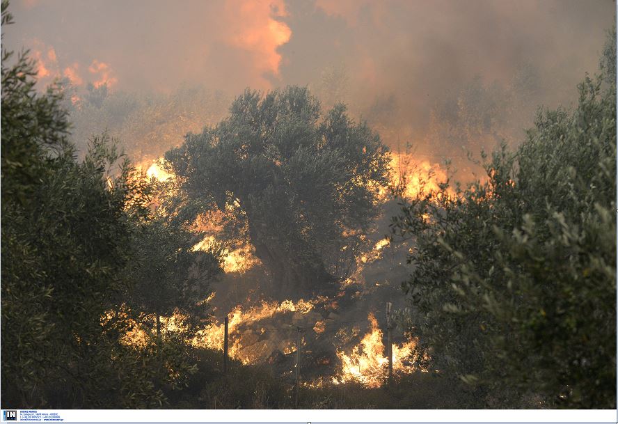 Κέρκυρα: Πυρκαγιά ξέσπασε στα νότια της Λευκίμμης