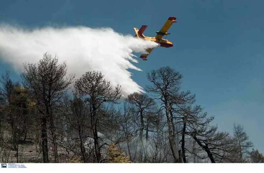 Φωτιά στη Θάσο σε δασική έκταση – Μεγάλη κινητοποίηση της Πυροσβεστικής