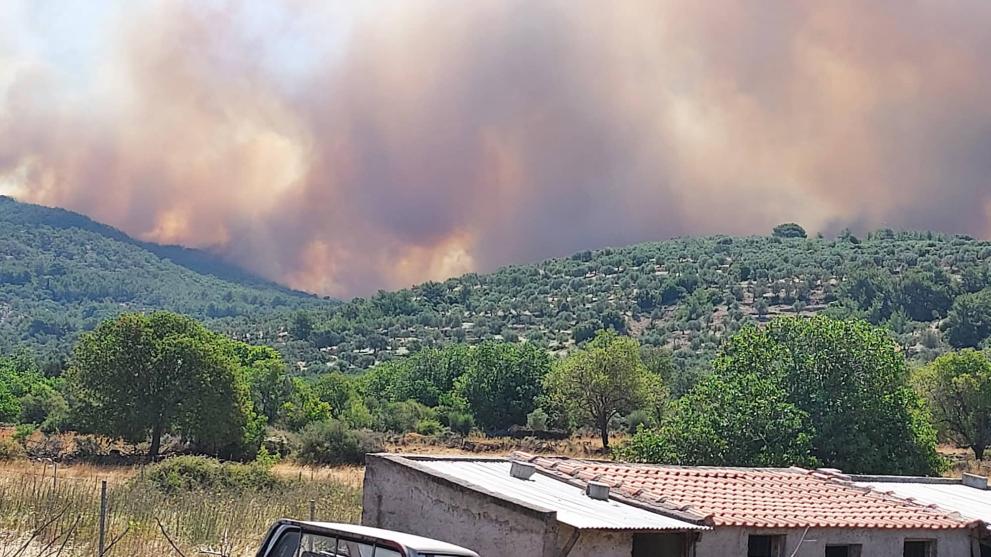 Μεγάλη φωτιά στη Μυτιλήνη- Καίγονται σπίτια – Με σκάφη απομακρύνονται άνθρωποι (VIDEO- ΦΩΤΟ)
