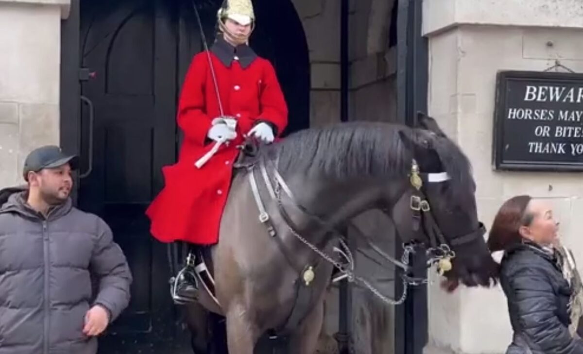 Βασιλικό άλογο της άρπαξε τα μαλλιά (Video)