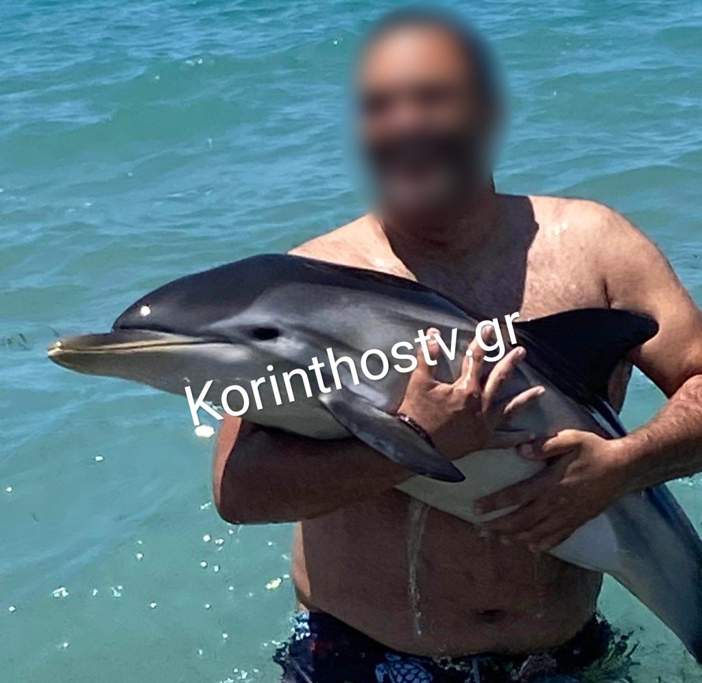 Κόρινθος: Έσωσαν νεαρό δελφίνι που βγήκε στα ρηχά (Video)