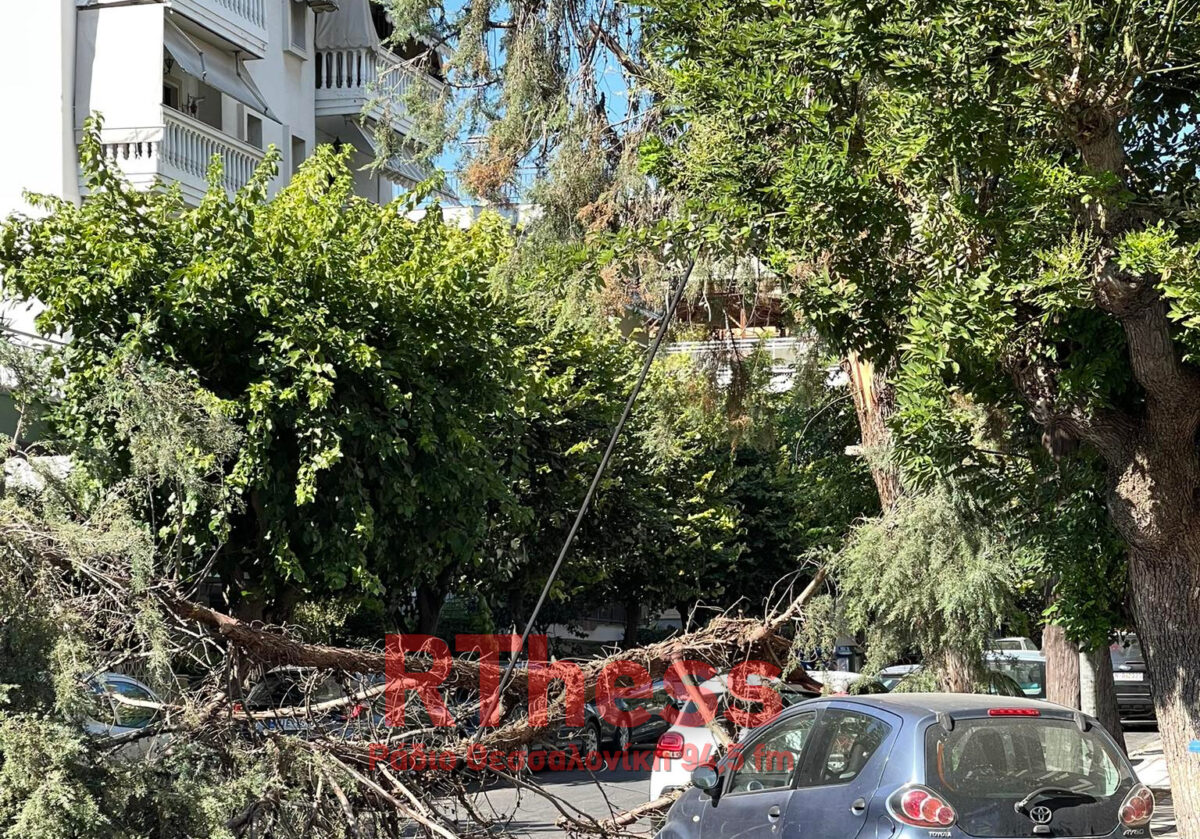 Θεσσαλονίκη: Έπεσαν δέντρα από τους ισχυρούς ανέμους
