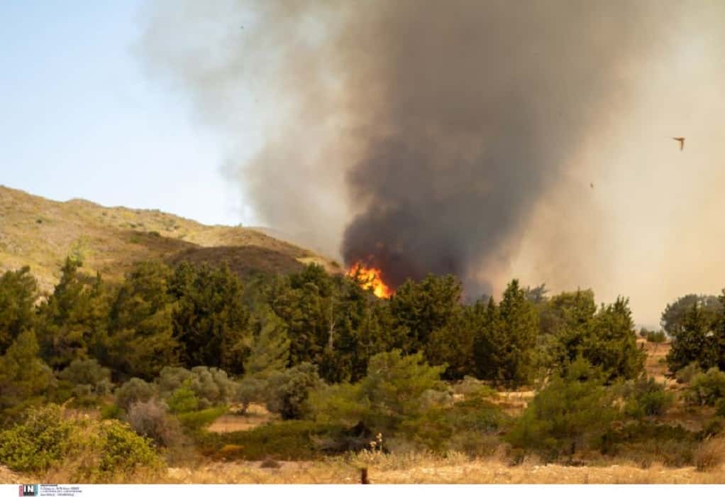  Ανακοινώθηκαν τα ποσά αποζημιώσεων του ΕΛΓΑ για τις πυρκαγιές