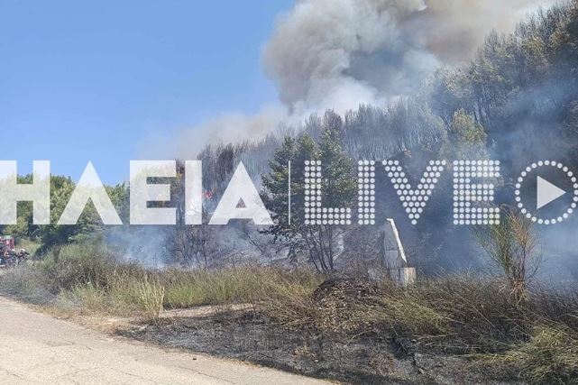 Ηλεία: Μεγάλη πυρκαγιά στην περιοχή Παλαιοβαρβάσαινα