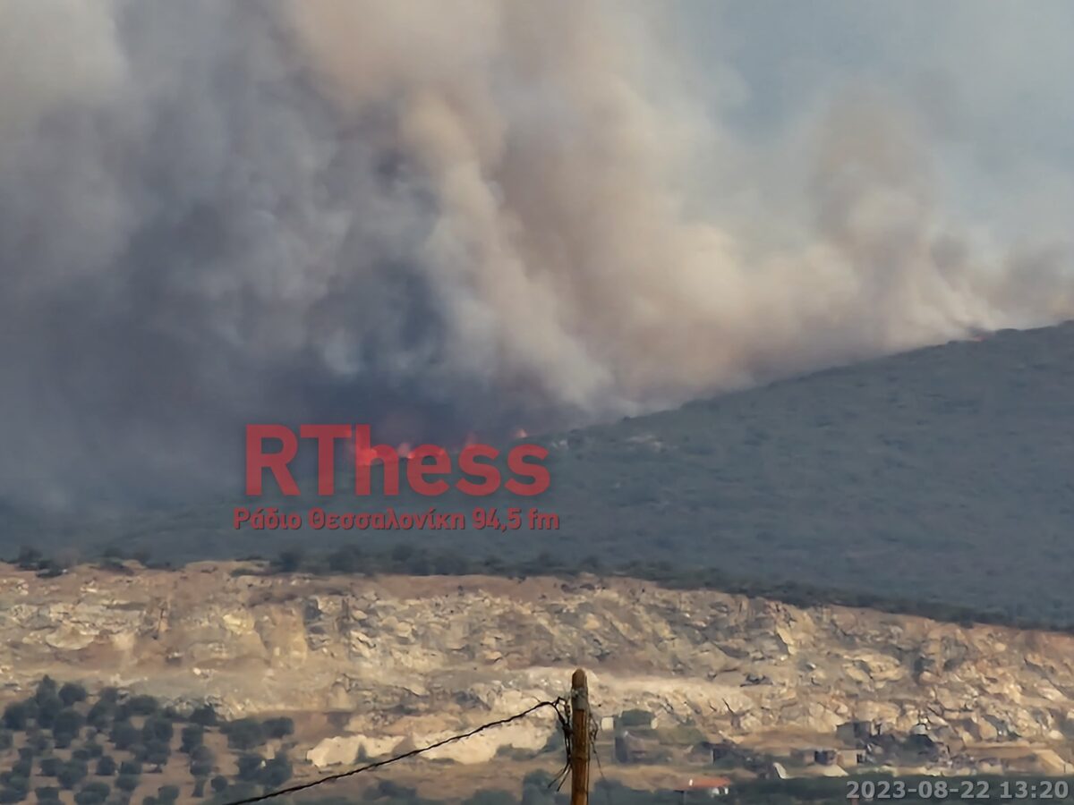 Έσβησε η πυρκαγιά σε αγροτοδασική έκταση στον Πολύγυρο