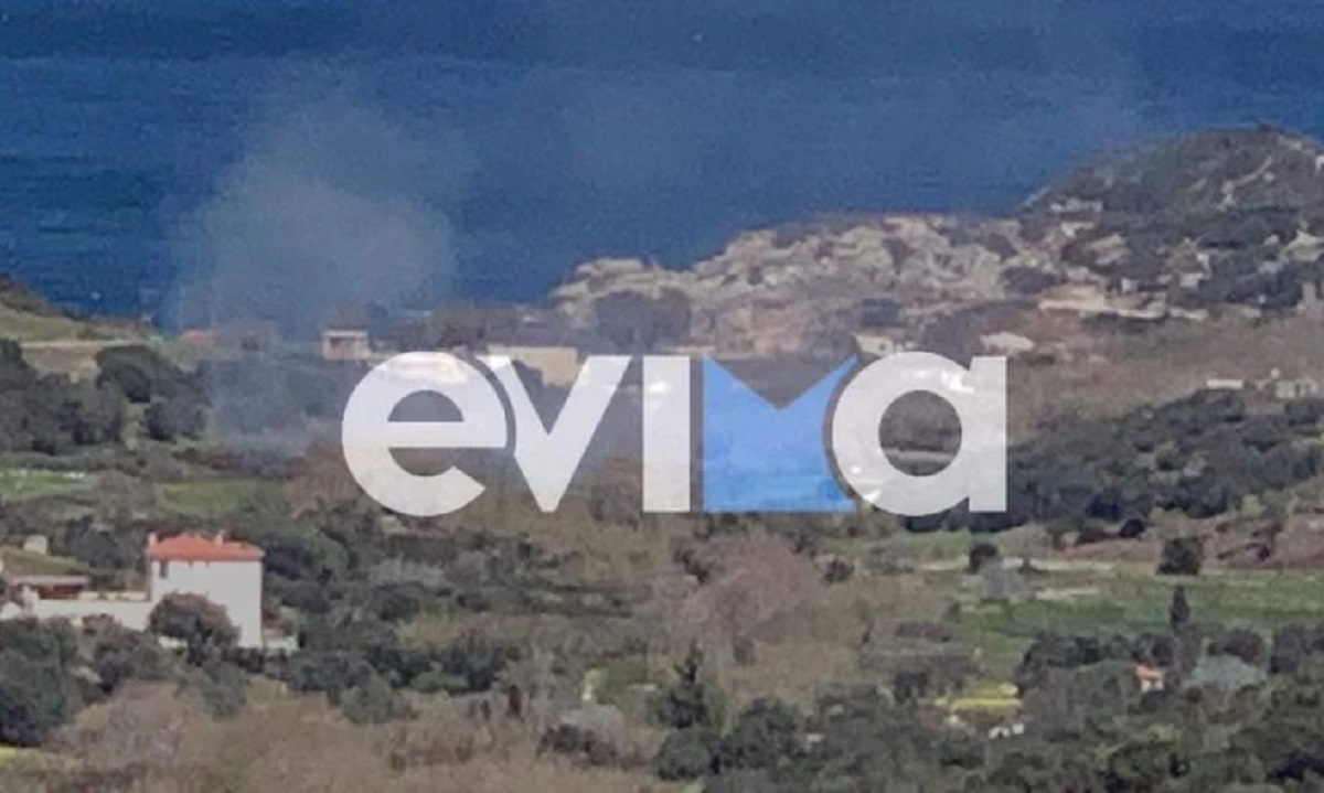 Εύβοια: Φωτιά σε δασική έκταση στο Στόμιο Πετριών