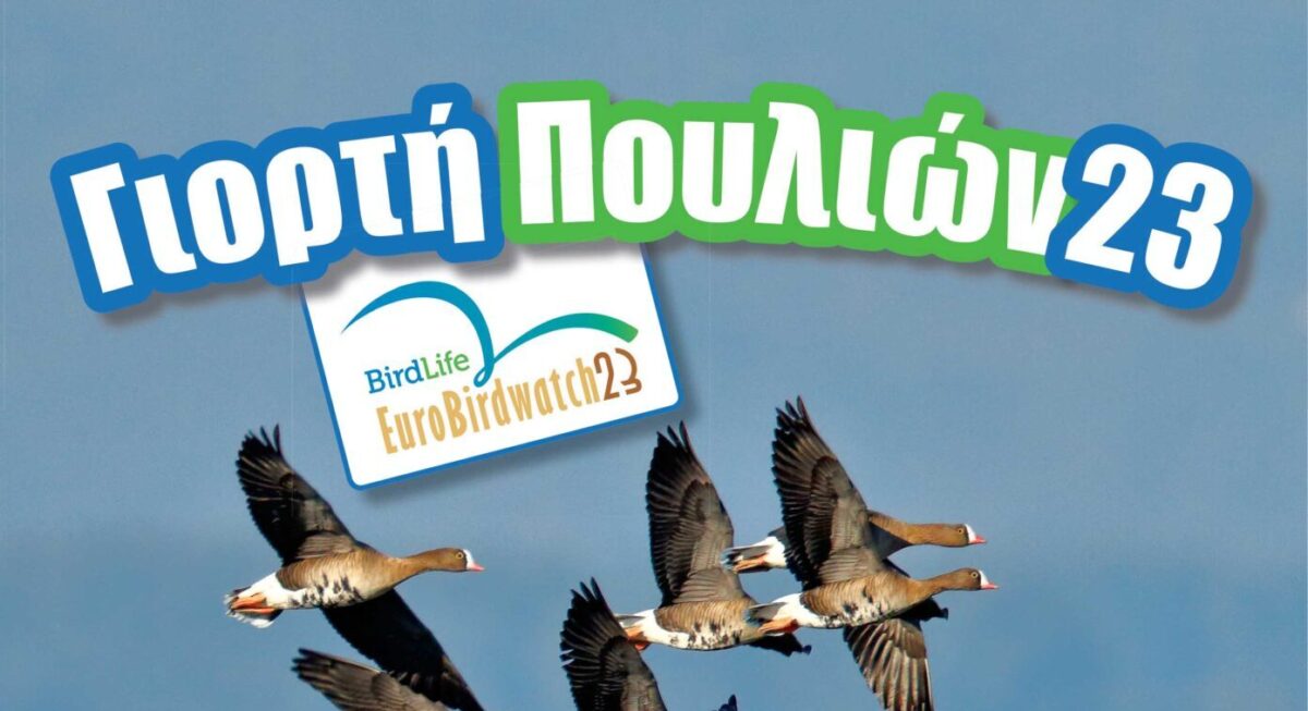  Θεσσαλονίκη: Γιορτή των Πουλιών στη Νέα Αγαθούπολη Πιερίας