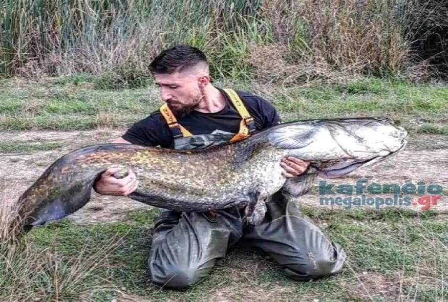 Ψάρεψε γουλιανό 70 κιλών με καλάμι (PHOTO)