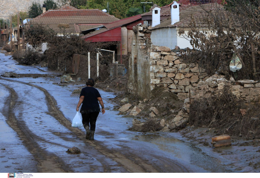 Στη Θεσσαλία σήμερα ο Επίτροπος Γεωργίας στη Ε.Ε
