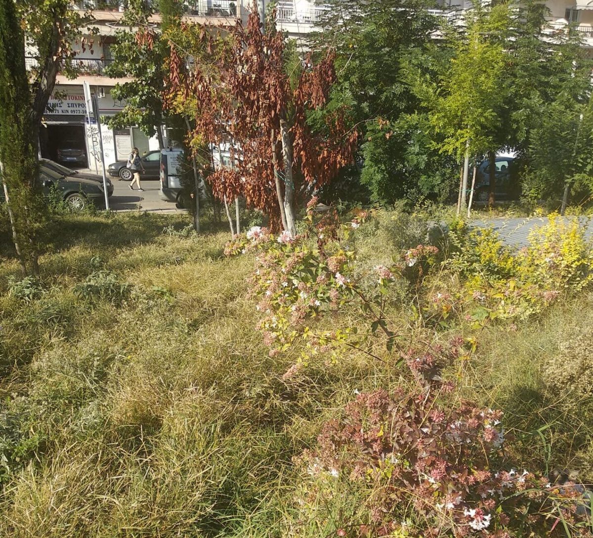 Στάση Μετρό «Ευκλείδης»… ή «Ζούγκλα»; (Photos)