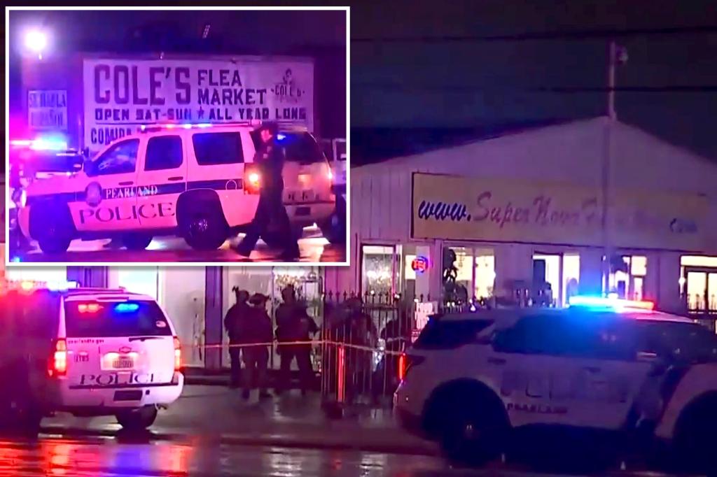 Πυροβολισμοί σε υπαίθρια αγορά στο Τέξας – Ένα παιδί νεκρό