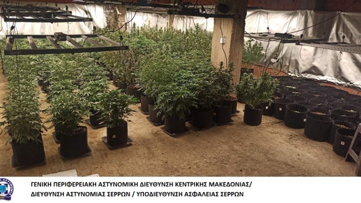 Ο αστυνομικός σκύλος Roxy εντόπισε υπόγειο θερμοκήπιο κάνναβης