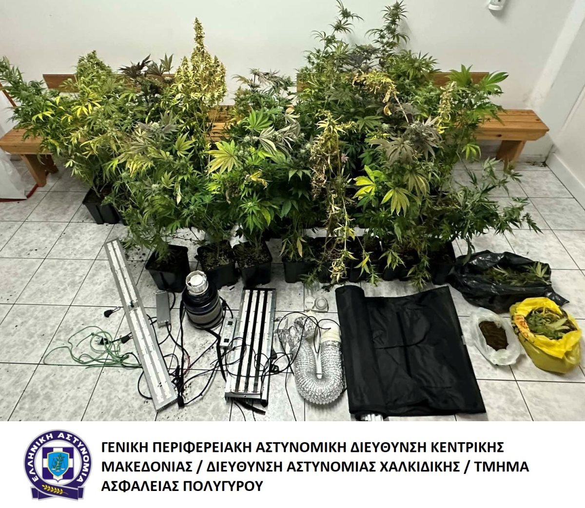 Καλλιεργούσε κάνναβη στο σπίτι του στη Θεσσαλονίκη (VIDEO)
