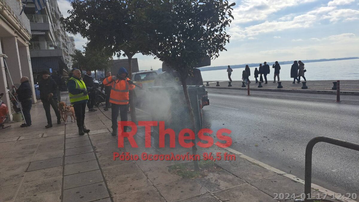 Συνεχίζεται ο καθαρισμός της Θεσσαλονίκης (VIDEO)