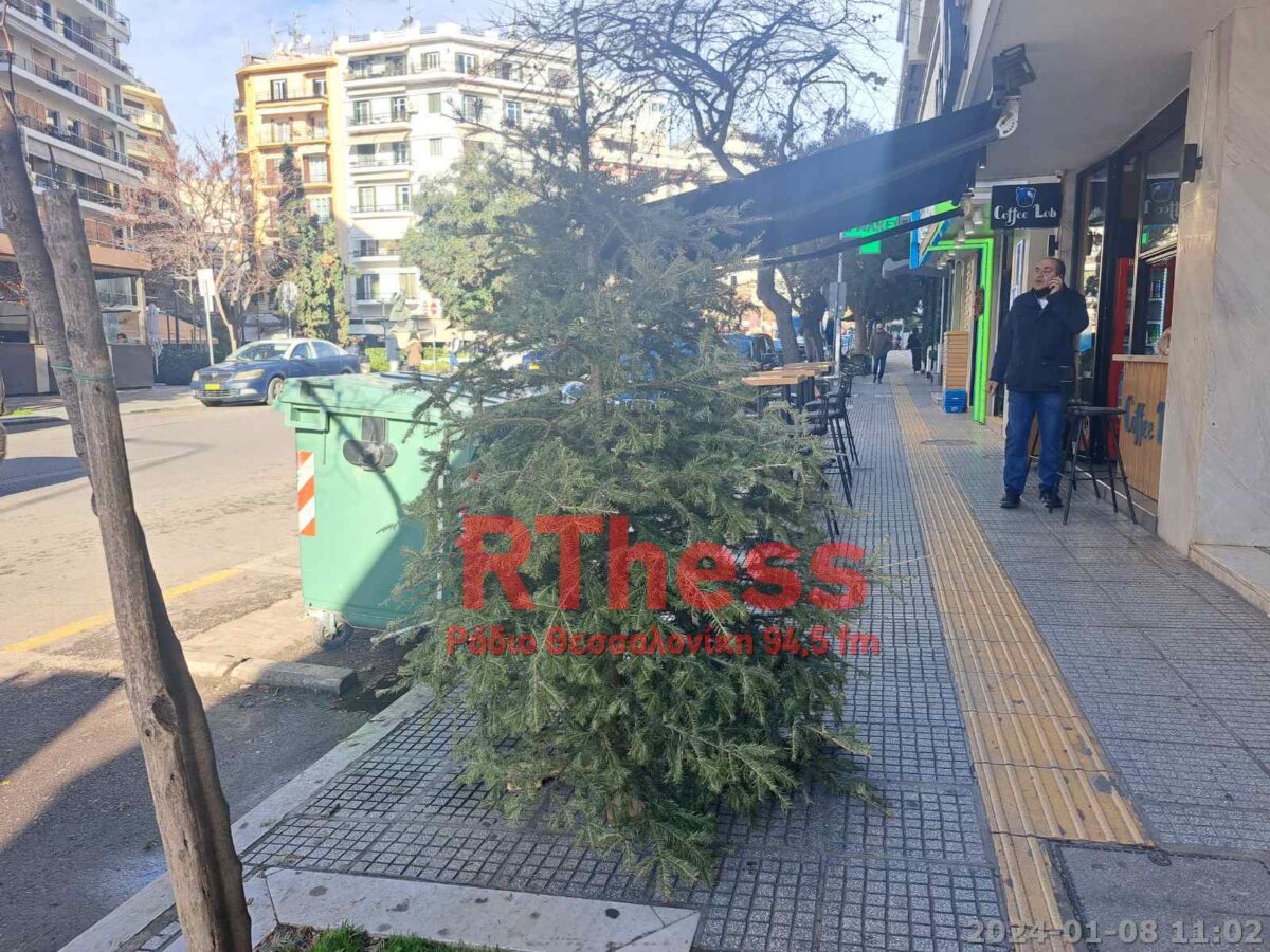 Τα 7 σημεία που συλλέγονται τα χριστουγεννιάτικα δέντρα στη Θεσσαλονίκη