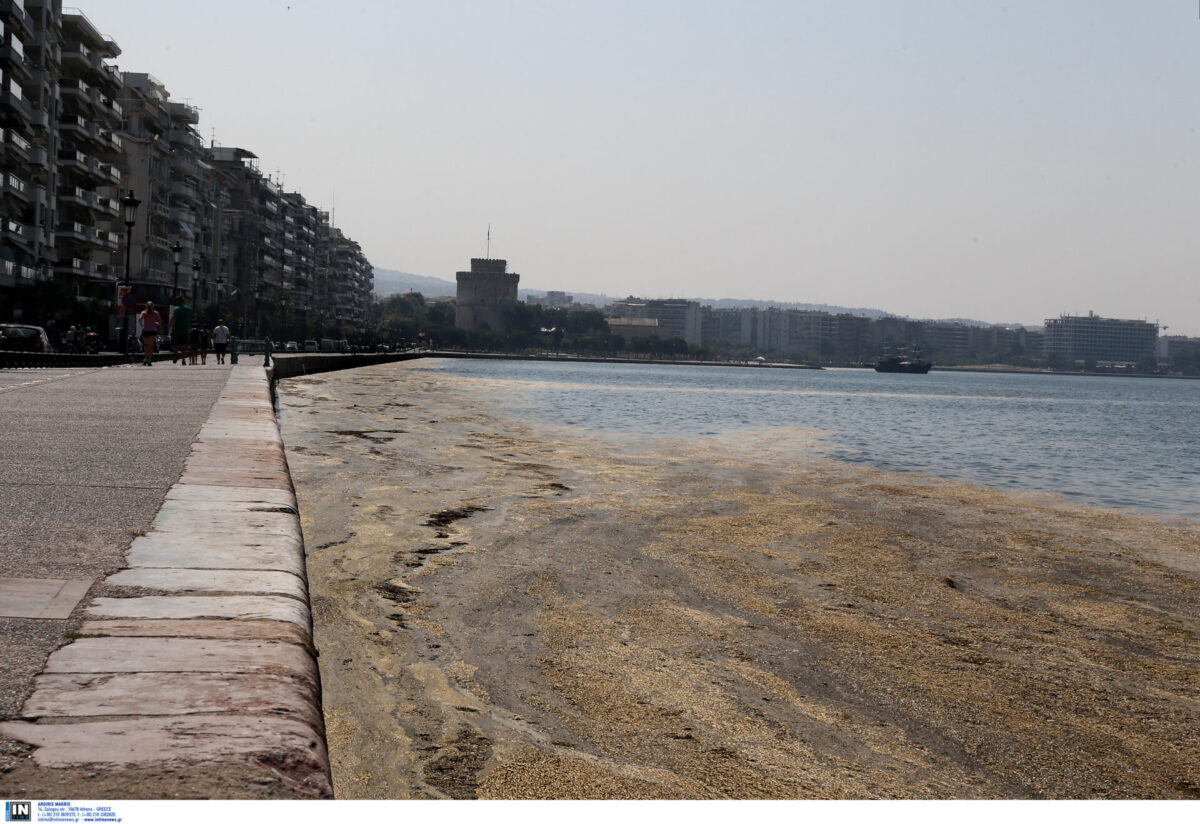 Θεσσαλονίκη: Θαλάσσια ρύπανση στον Θερμαϊκό