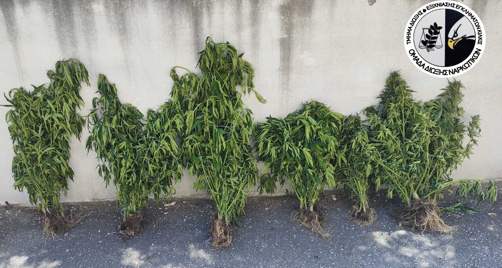 Ναρκωτικά